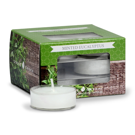 Eucalytpus à la menthe / Minted Eucalyptus - bougies cadeaux soins ...