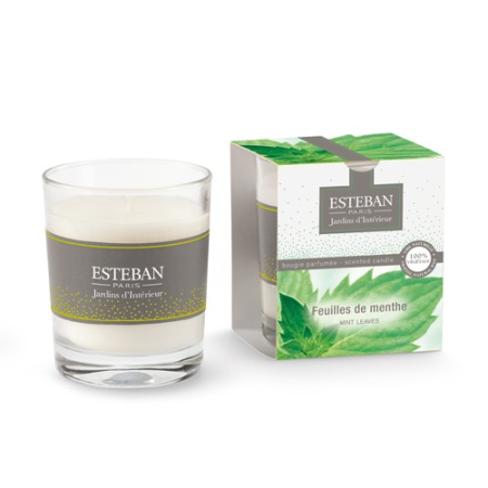 Feuilles de menthe - bougies cadeaux soins du corps
