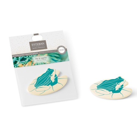 Pin et Cyprès