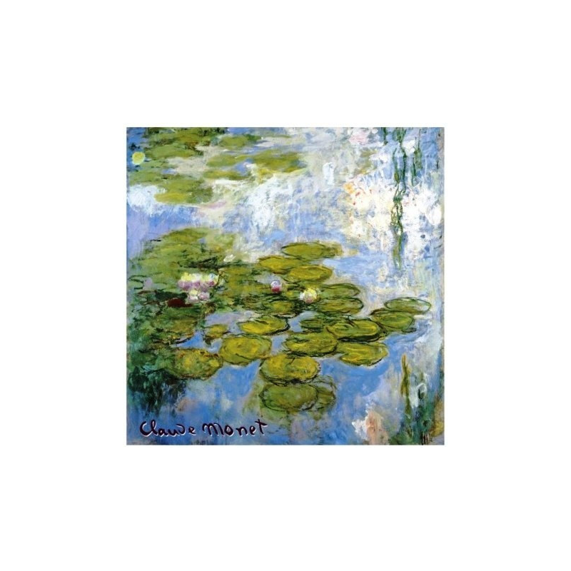 Rose - Les Nymphéas
