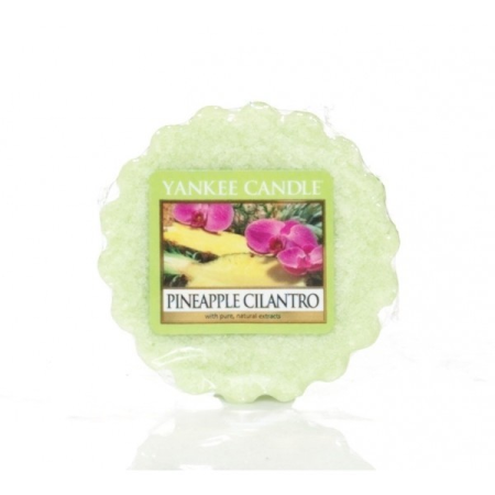 Ananas Coriandre (Pineaple Cilantro) - bougies cadeaux soins du corps