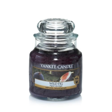 Figue Sauvage (Wild Fig) - bougies cadeaux soins du corps